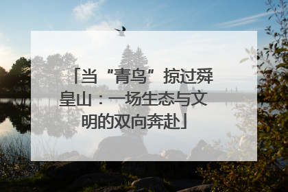 当“青鸟”掠过舜皇山：一场生态与文明的双向奔赴