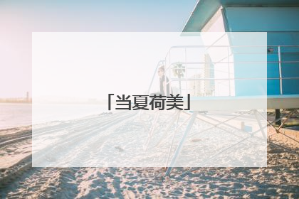 当夏荷美