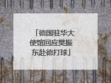 德国驻华大使馆回应樊振东赴德打球
