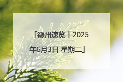德州速览丨2025年6月3日 星期二