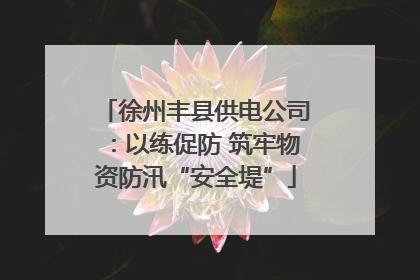 徐州丰县供电公司：以练促防 筑牢物资防汛“安全堤”