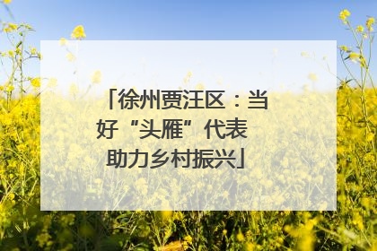 徐州贾汪区：当好“头雁”代表 助力乡村振兴