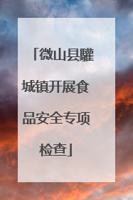 微山县驩城镇开展食品安全专项检查