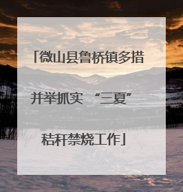 微山县鲁桥镇多措并举抓实 “三夏” 秸秆禁烧工作