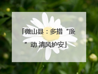 微山县：多措“廉”动 清风护安