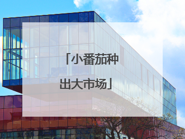 小番茄种出大市场