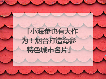 小海参也有大作为！烟台打造海参特色城市名片