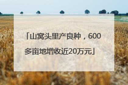 山窝头里产良种，600多亩地增收近20万元