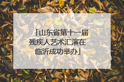 山东省第十一届残疾人艺术汇演在临沂成功举办