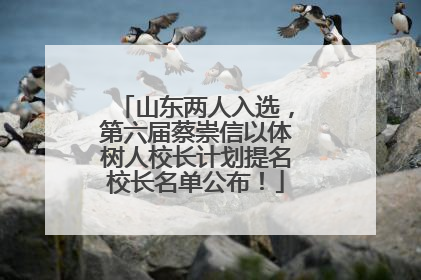 山东两人入选，第六届蔡崇信以体树人校长计划提名校长名单公布！