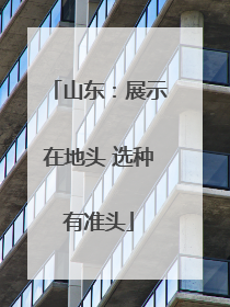 山东：展示在地头 选种有准头