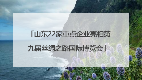 山东22家重点企业亮相第九届丝绸之路国际博览会
