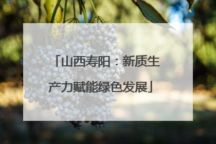 山西寿阳：新质生产力赋能绿色发展
