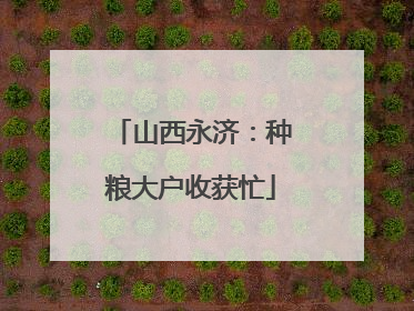 山西永济：种粮大户收获忙