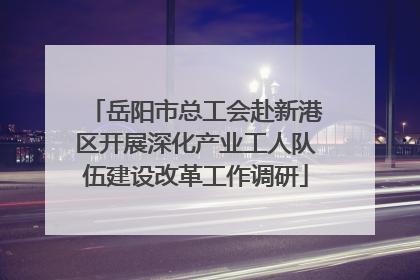 岳阳市总工会赴新港区开展深化产业工人队伍建设改革工作调研