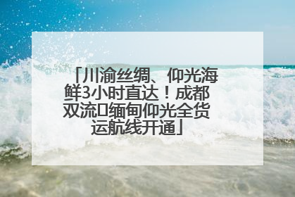 川渝丝绸、仰光海鲜3小时直达！成都双流⇌缅甸仰光全货运航线开通