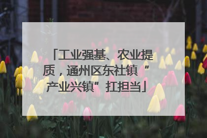 工业强基、农业提质，通州区东社镇“产业兴镇”扛担当