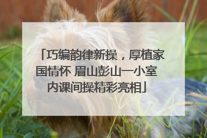 巧编韵律新操，厚植家国情怀 眉山彭山一小室内课间操精彩亮相
