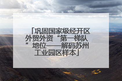巩固国家级经开区外贸外资“第一梯队”地位——解码苏州工业园区样本