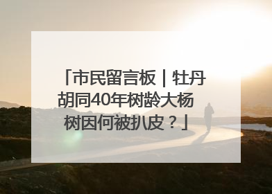 市民留言板｜牡丹胡同40年树龄大杨树因何被扒皮？