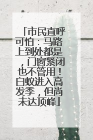 市民直呼可怕：马路上到处都是，门窗紧闭也不管用！白蚁进入高发季，但尚未达顶峰