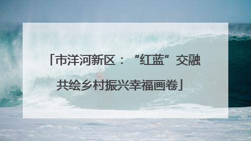 市洋河新区：“红蓝”交融 共绘乡村振兴幸福画卷