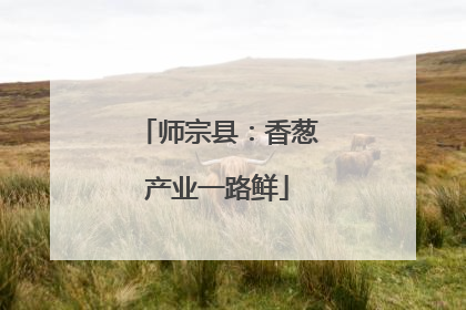 师宗县：香葱产业一路鲜