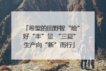 希望的田野智“绘”好“丰”景 “三夏”生产向“新”而行