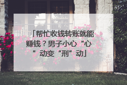 帮忙收钱转账就能赚钱？男子小心“心”动变“刑”动