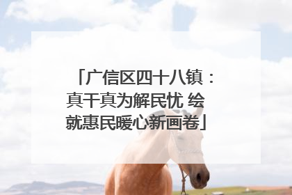 广信区四十八镇：真干真为解民忧 绘就惠民暖心新画卷