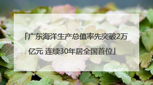 广东海洋生产总值率先突破2万亿元 连续30年居全国首位