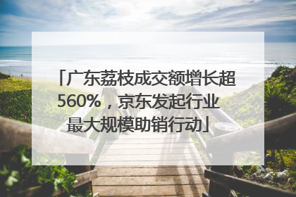 广东荔枝成交额增长超560%，京东发起行业最大规模助销行动