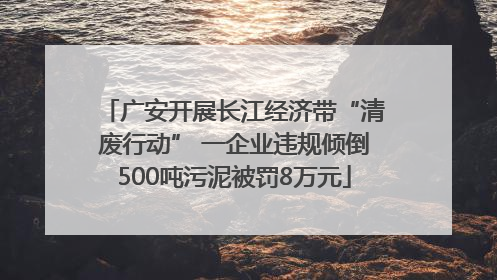 广安开展长江经济带“清废行动” 一企业违规倾倒500吨污泥被罚8万元