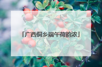 广西侗乡端午荷韵浓