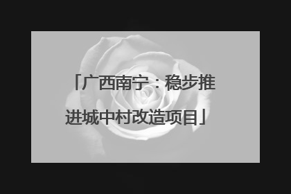 广西南宁：稳步推进城中村改造项目