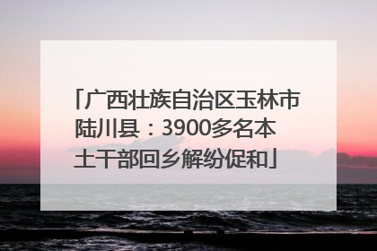 广西壮族自治区玉林市陆川县：3900多名本土干部回乡解纷促和