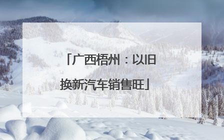 广西梧州：以旧换新汽车销售旺