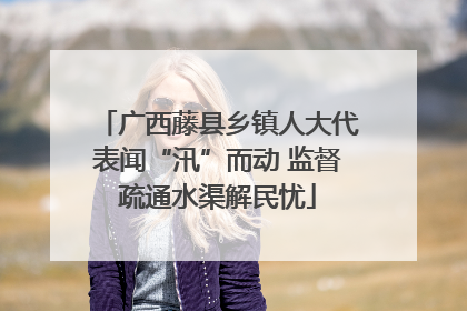 广西藤县乡镇人大代表闻“汛”而动 监督疏通水渠解民忧
