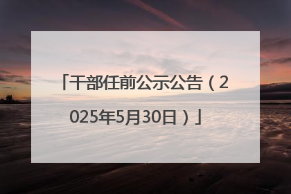 干部任前公示公告（2025年5月30日）