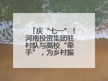 庆“七一”！河南投资集团驻村队与高校“牵手”，为乡村振兴添新活力