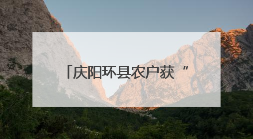 庆阳环县农户获“金融礼包” 普惠贷款助力产业升级