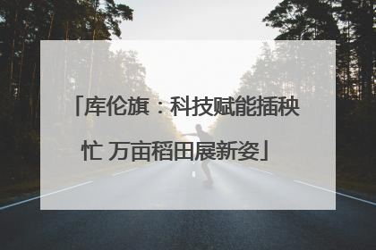 库伦旗：科技赋能插秧忙 万亩稻田展新姿