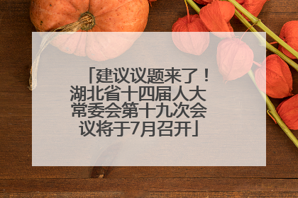 建议议题来了！湖北省十四届人大常委会第十九次会议将于7月召开