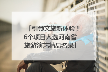 引领文旅新体验！6个项目入选河南省旅游演艺精品名录