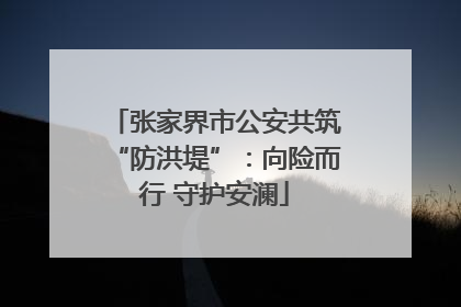 张家界市公安共筑“防洪堤”：向险而行 守护安澜