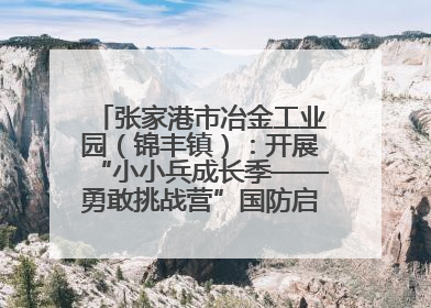 张家港市冶金工业园（锦丰镇）：开展“小小兵成长季——勇敢挑战营”国防启蒙教育活动