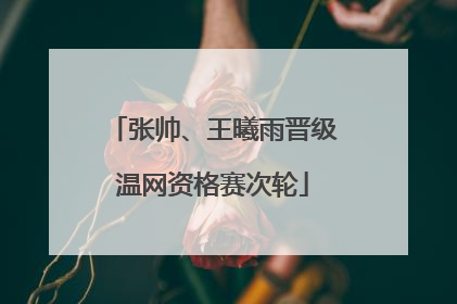 张帅、王曦雨晋级温网资格赛次轮