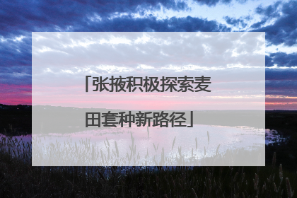 张掖积极探索麦田套种新路径