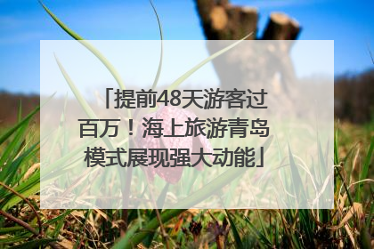 提前48天游客过百万！海上旅游青岛模式展现强大动能