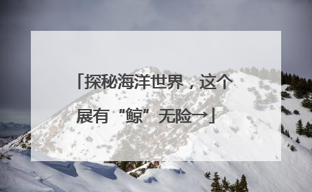 探秘海洋世界，这个展有“鲸”无险→
